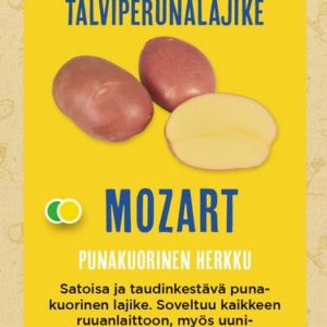 SIEMENPERUNA MOZART 5 KG