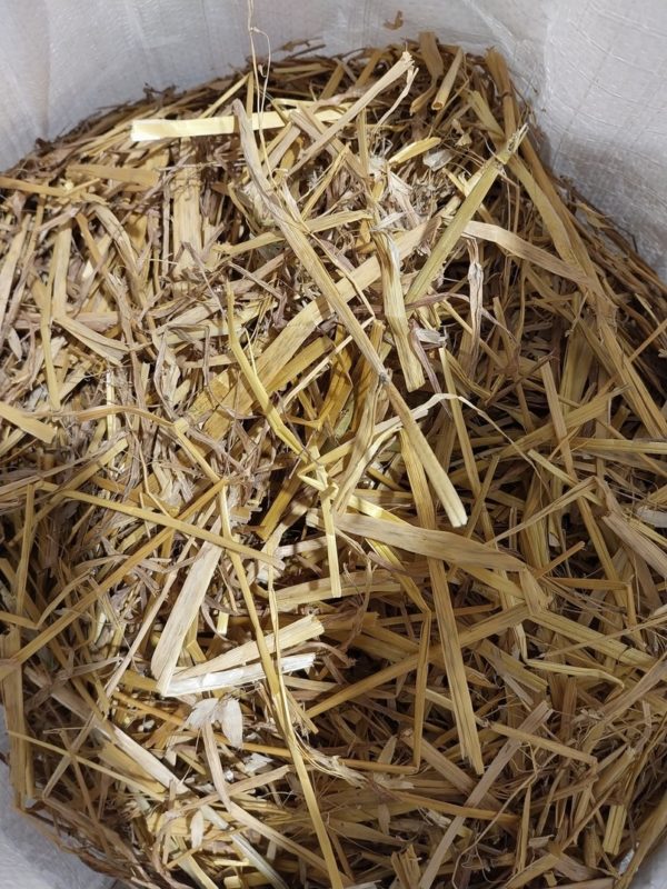 KAURAN OLKI 4 KG