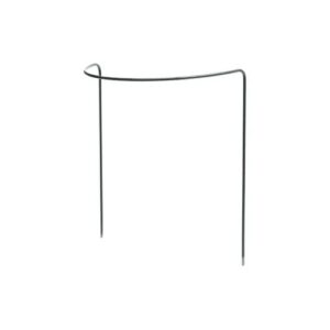 PERENNATUKI 100CM